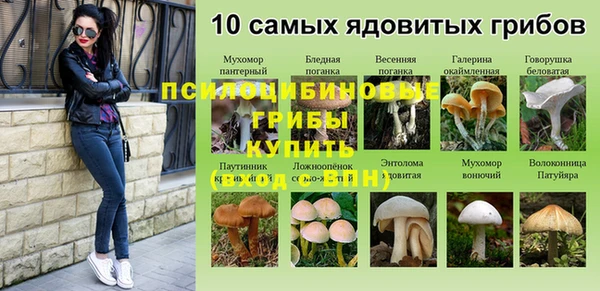 стаф Нефтегорск