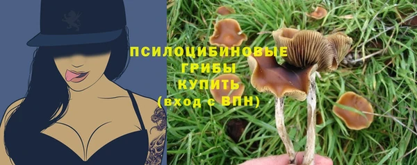дживик Нея