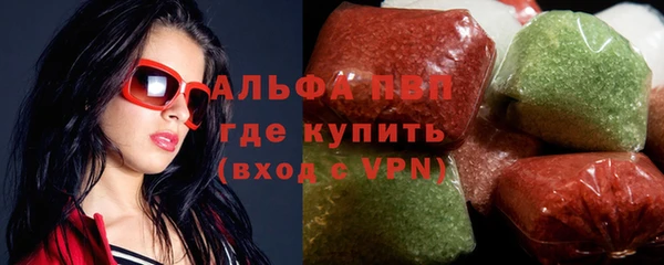 стаф Нефтегорск