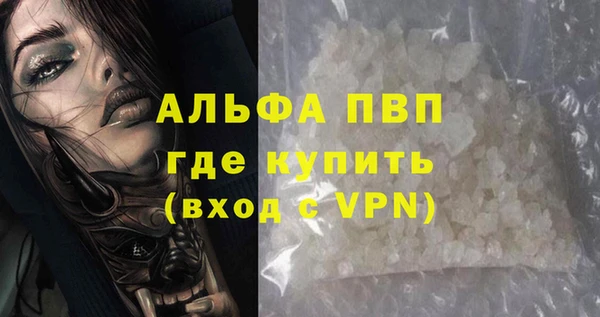 стаф Нефтегорск