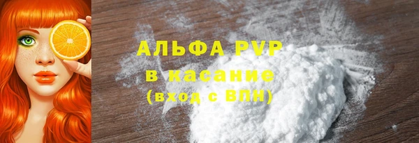 стаф Нефтегорск