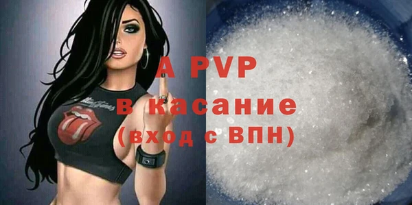 стаф Нефтегорск
