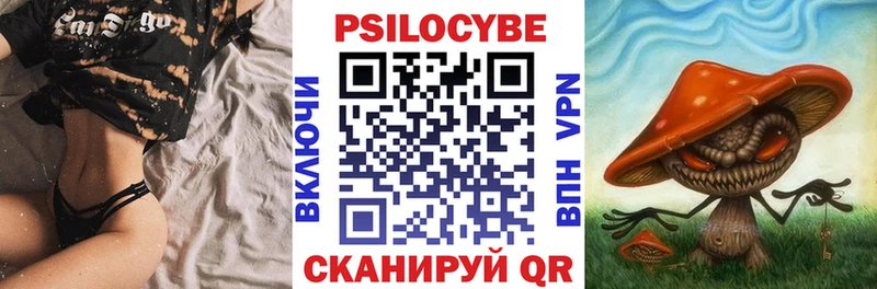 Псилоцибиновые грибы Psilocybe  Ирбит 