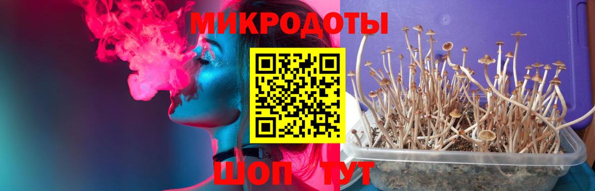 Галлюциногенные грибы прущие грибы  Вход с VPN  Ирбит 
